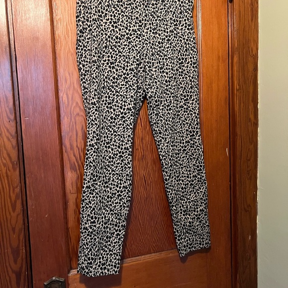 A New Day Black and Brown Women’s 8 Animal Print Pants - Picture 1 of 5